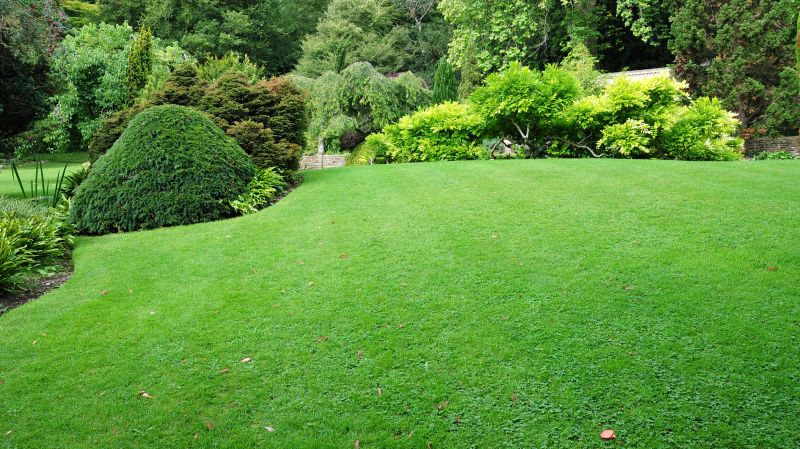 Industrial Landscaping Service in Ventura County, CA